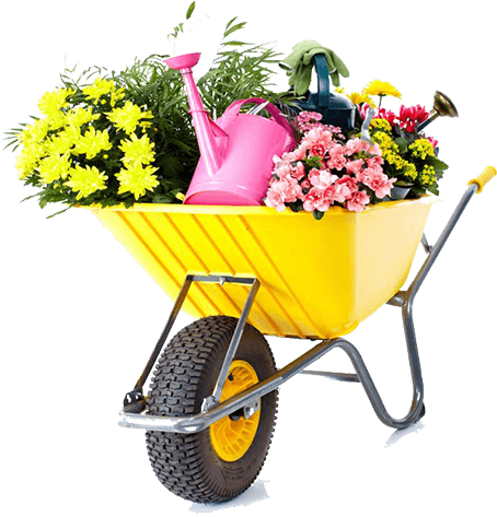 carro amarillo con flores y regadera