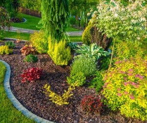 jardines con flores y plantas variadas