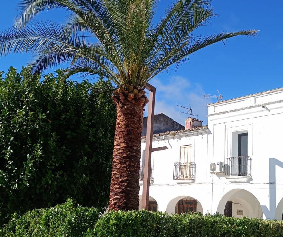 jardines jardisa (6)