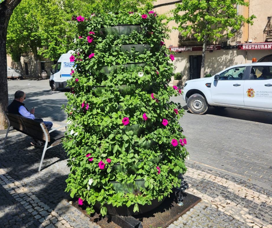 jardines jardisa (7)