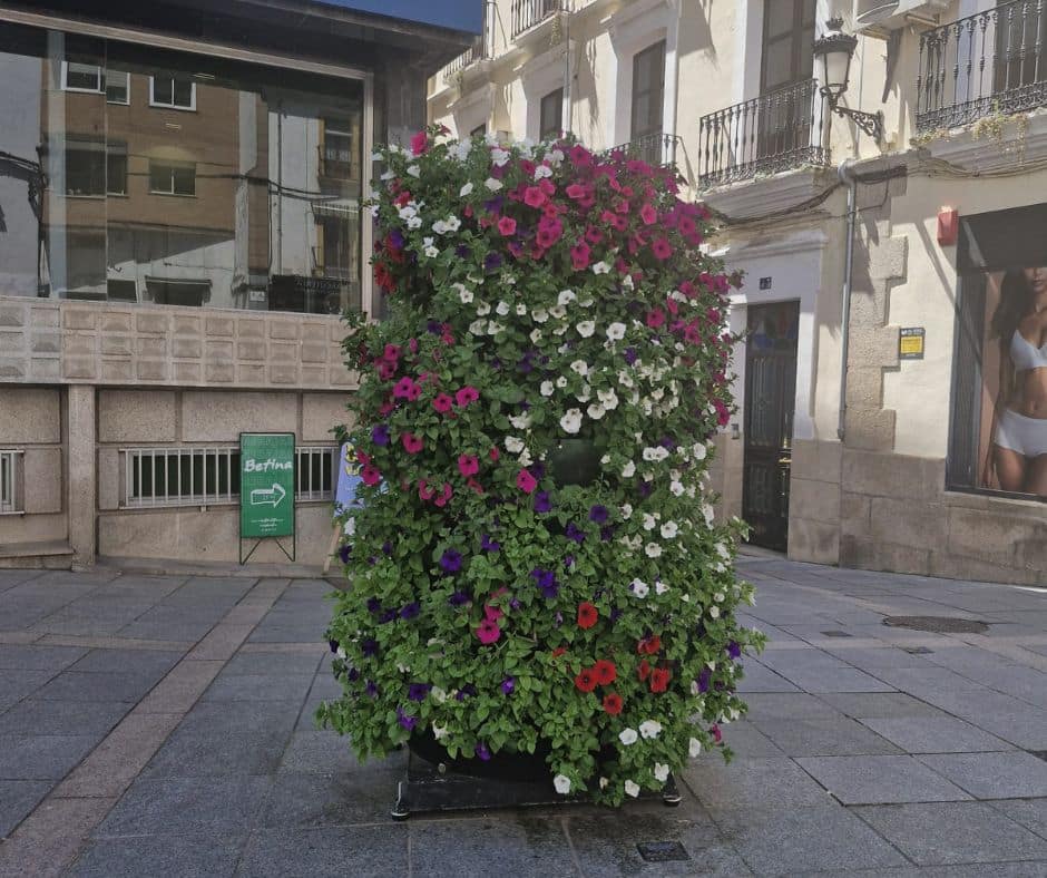 jardines jardisa (9)