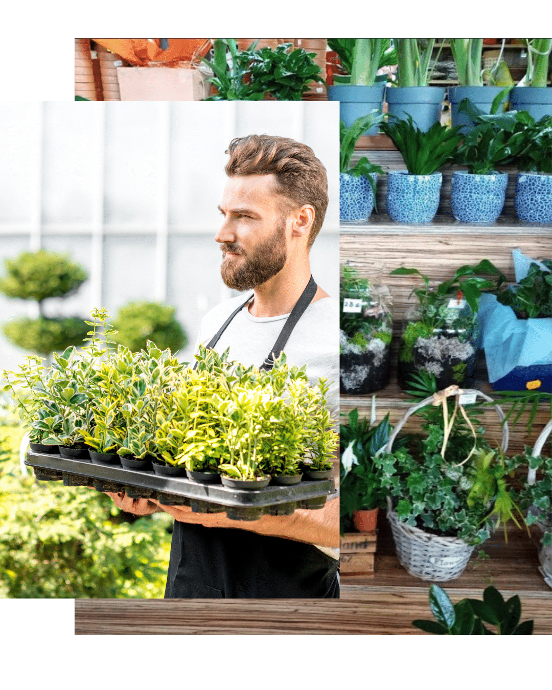 vendedor jardinero tiendajardisa